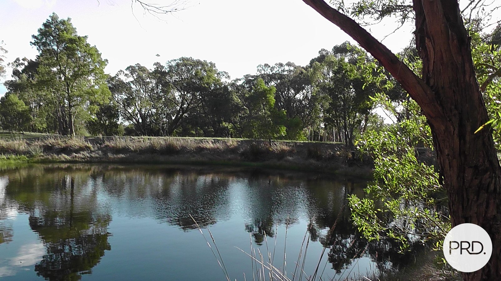 Lot 6 Eucalyptus Drive INVERMAY 4