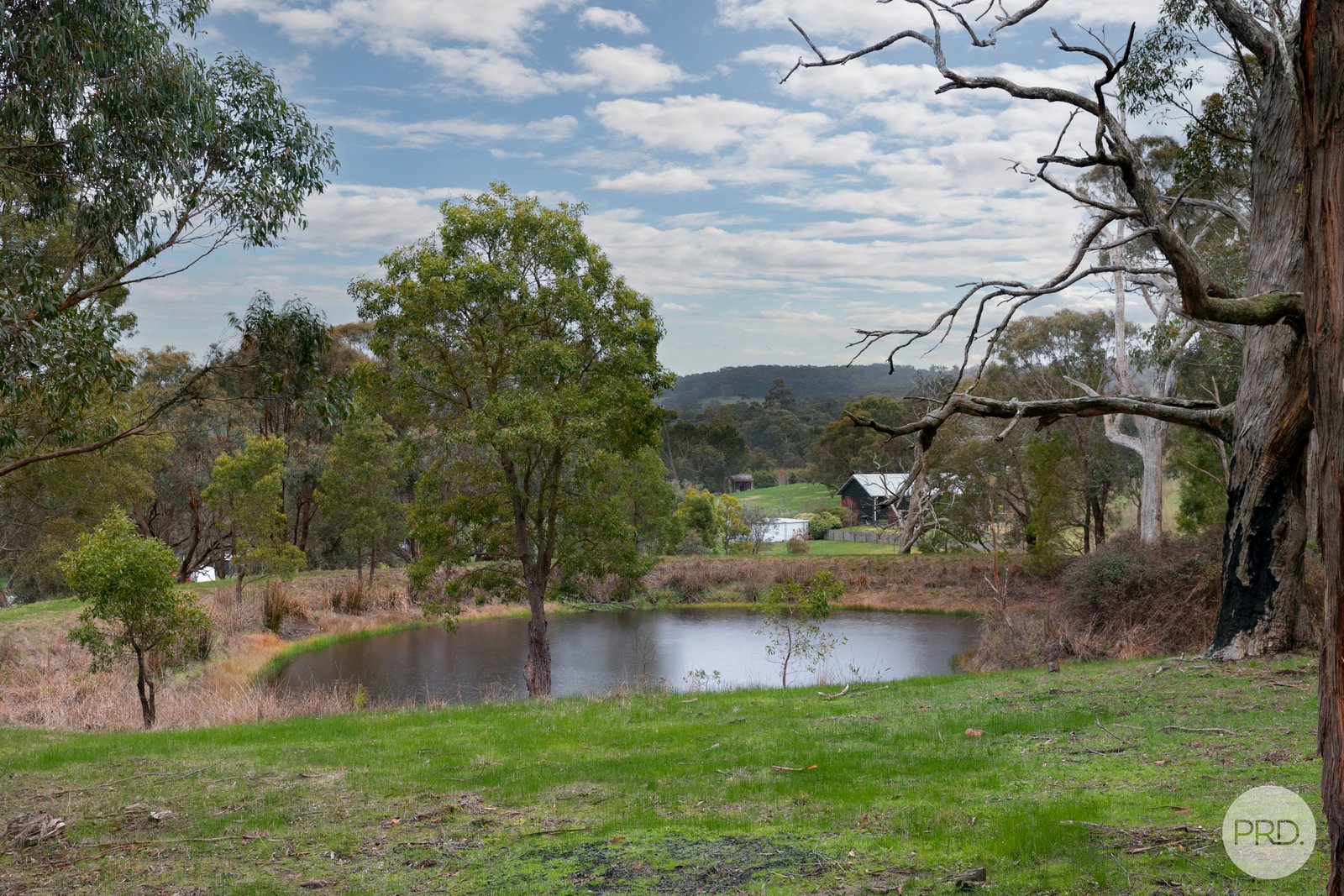 Lot 6 Eucalyptus Drive INVERMAY 5