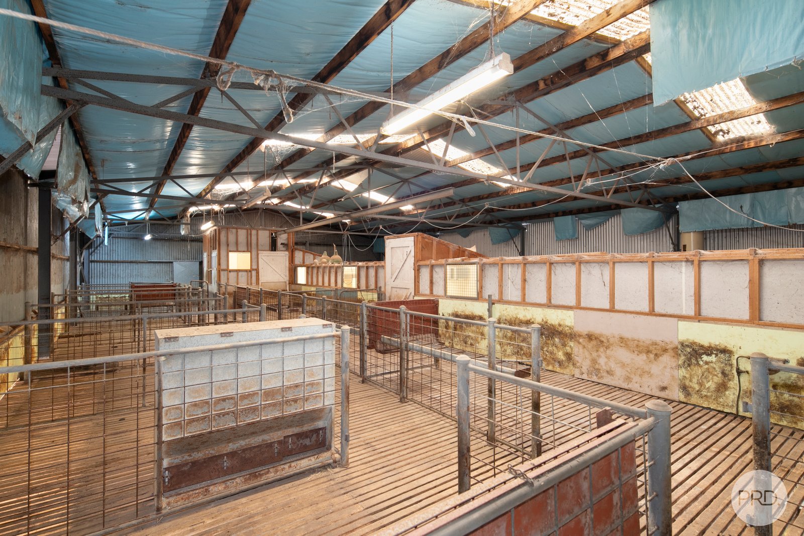 Lot 6 Eucalyptus Drive INVERMAY 10