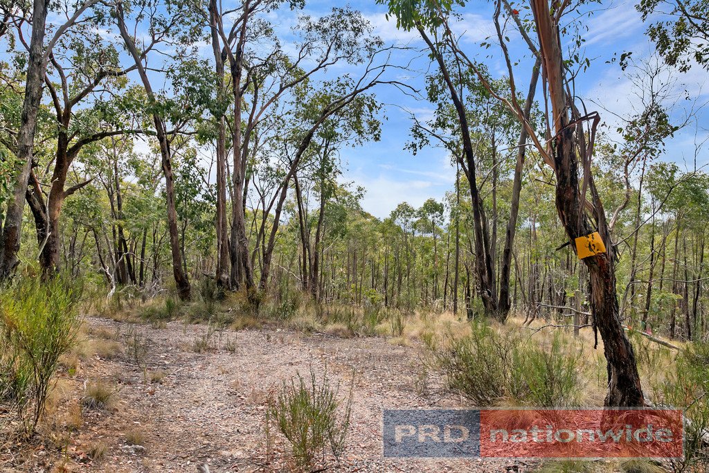 Lot 6 Haighs  SNAKE VALLEY 1