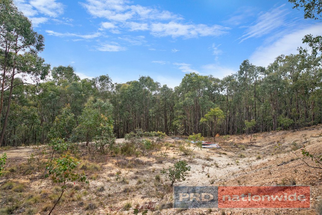 Lot 6 Haighs  SNAKE VALLEY 3