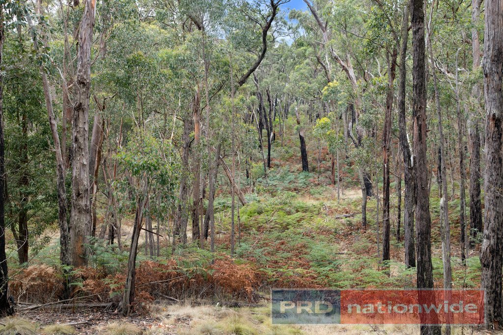 Lot 6 Haighs  SNAKE VALLEY 4