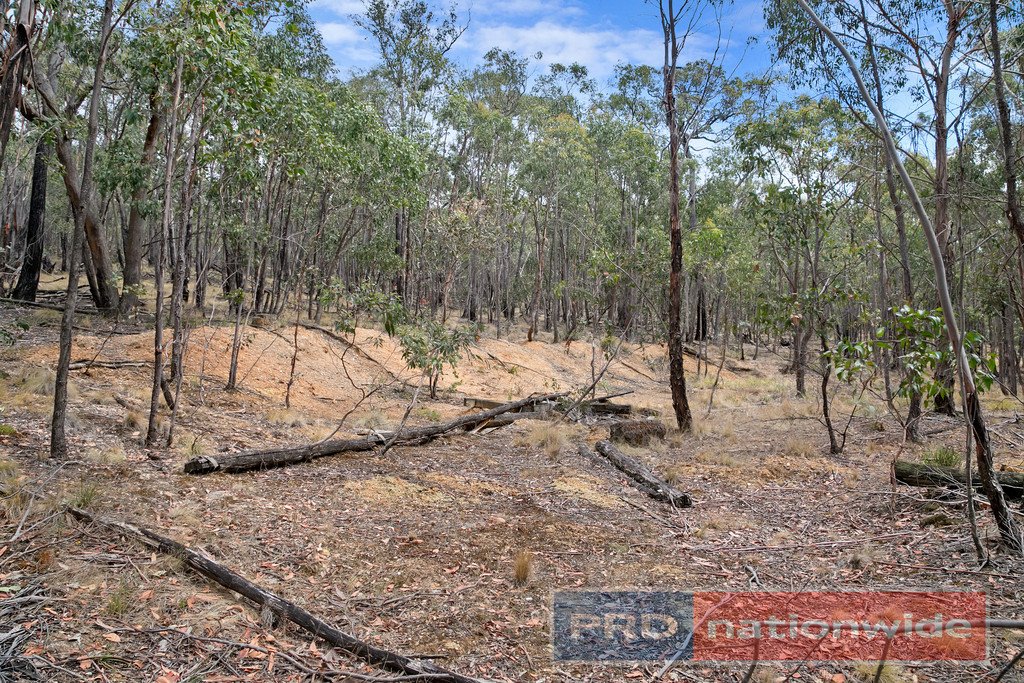 Lot 6 Haighs  SNAKE VALLEY 5