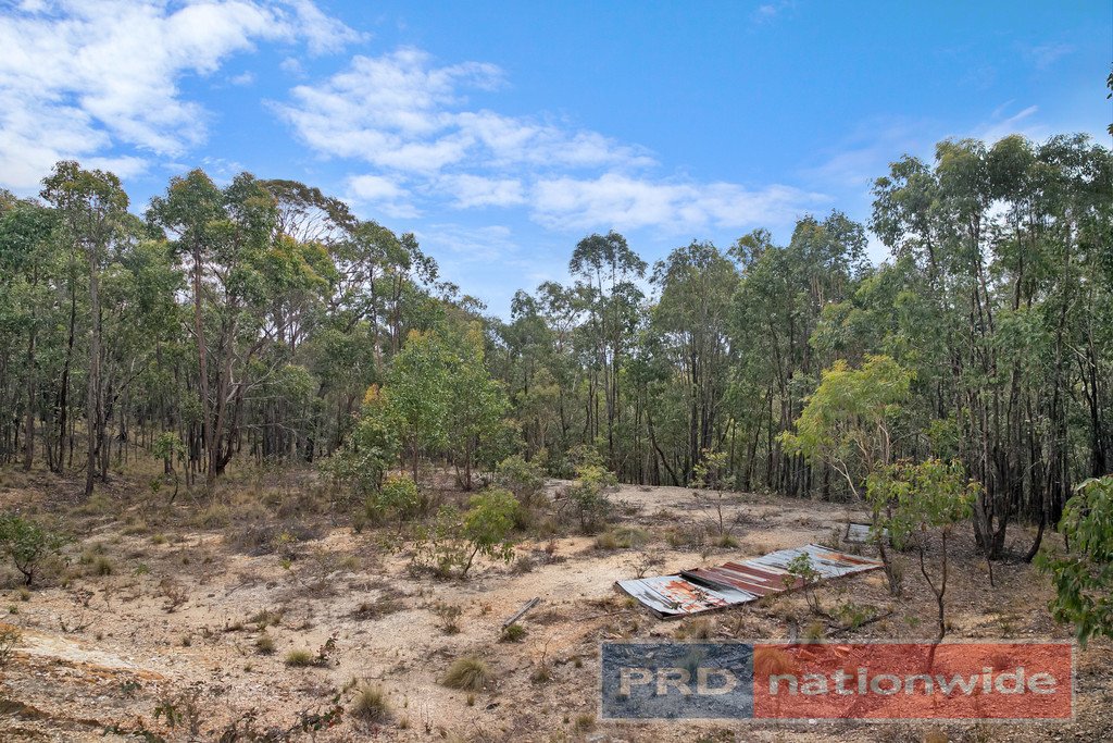 Lot 6 Haighs  SNAKE VALLEY 6