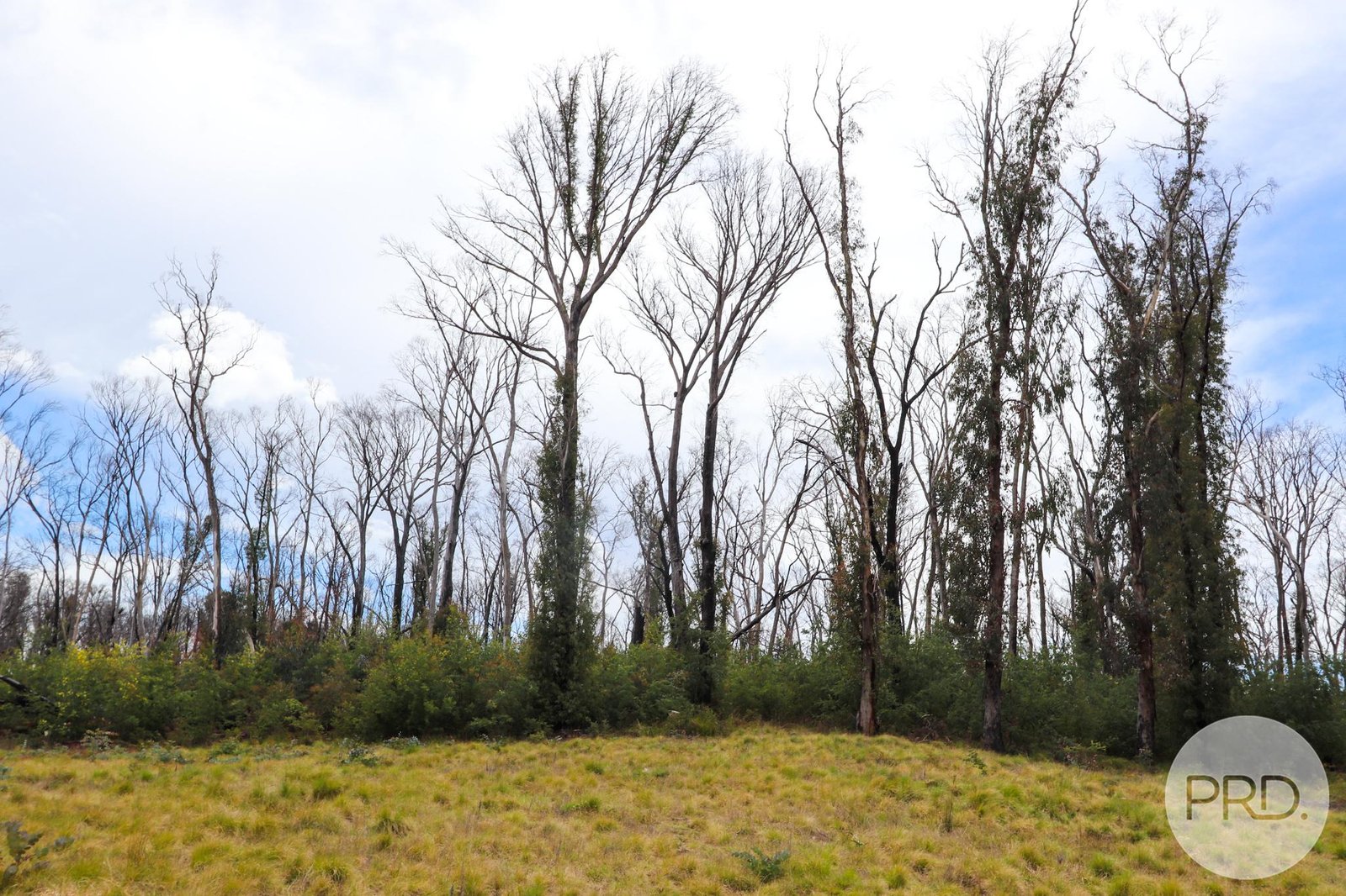 Lot 6 Moody's Hill Road TUMBARUMBA 2