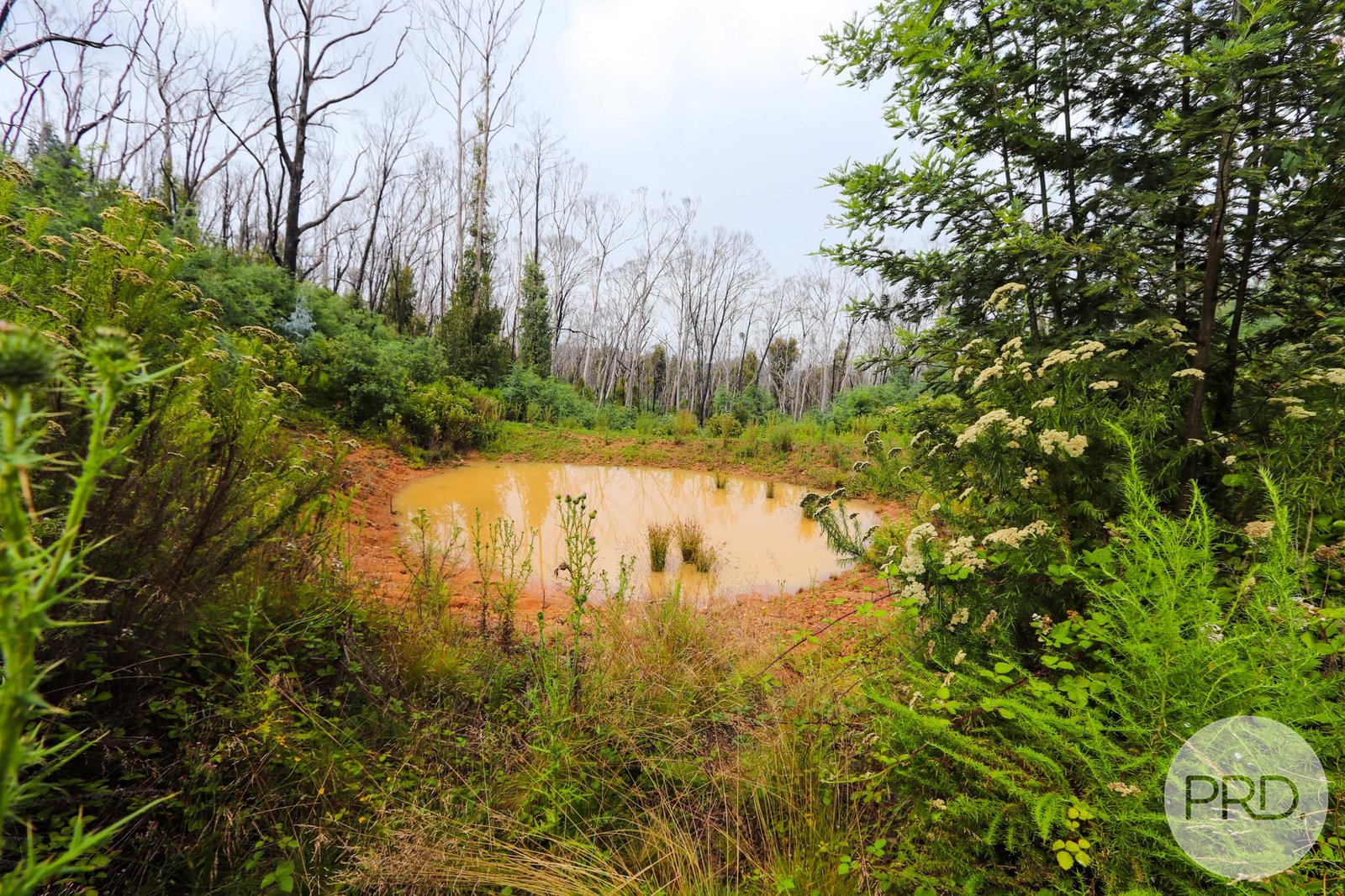 Lot 6 Moody's Hill Road TUMBARUMBA 7