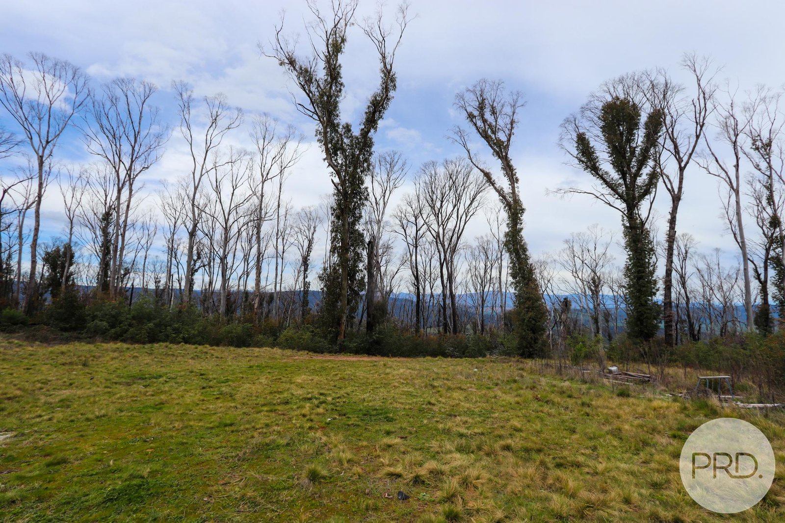 Lot 6 Moody's Hill Road TUMBARUMBA 8
