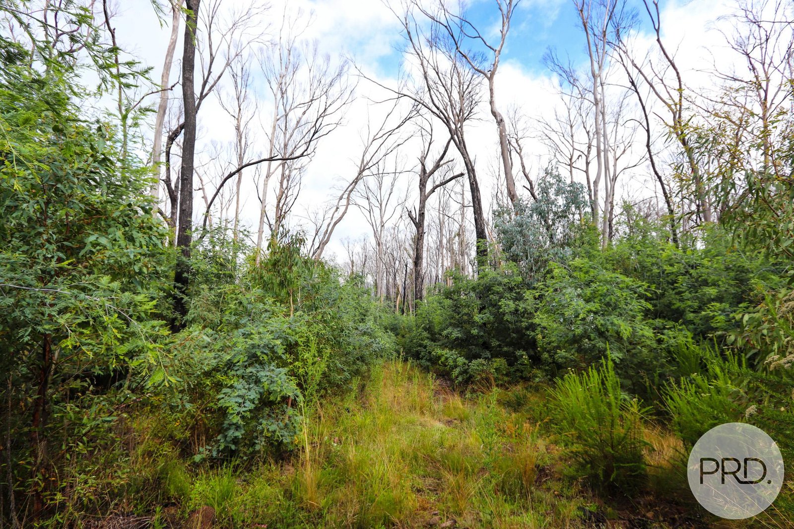Lot 6 Moody's Hill Road TUMBARUMBA 11
