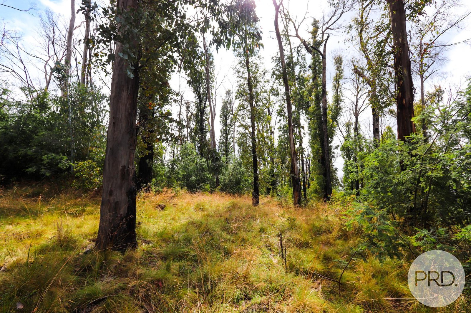 Lot 6 Moody's Hill Road TUMBARUMBA 12