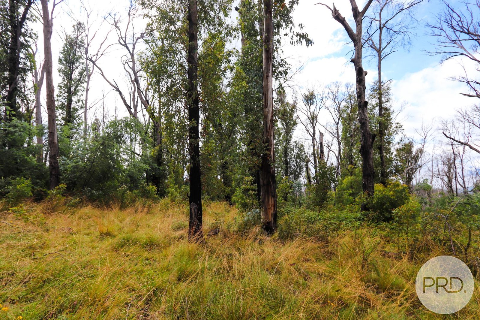 Lot 6 Moody's Hill Road TUMBARUMBA 13