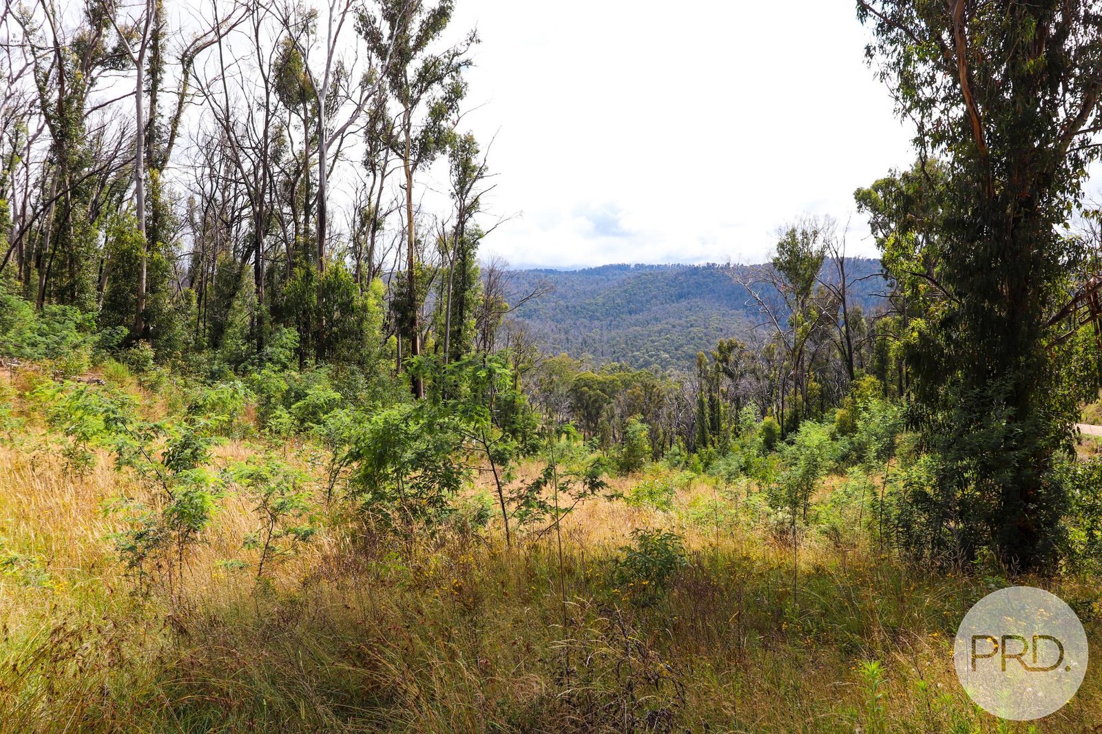 Lot 6 Moody's Hill Road TUMBARUMBA 14