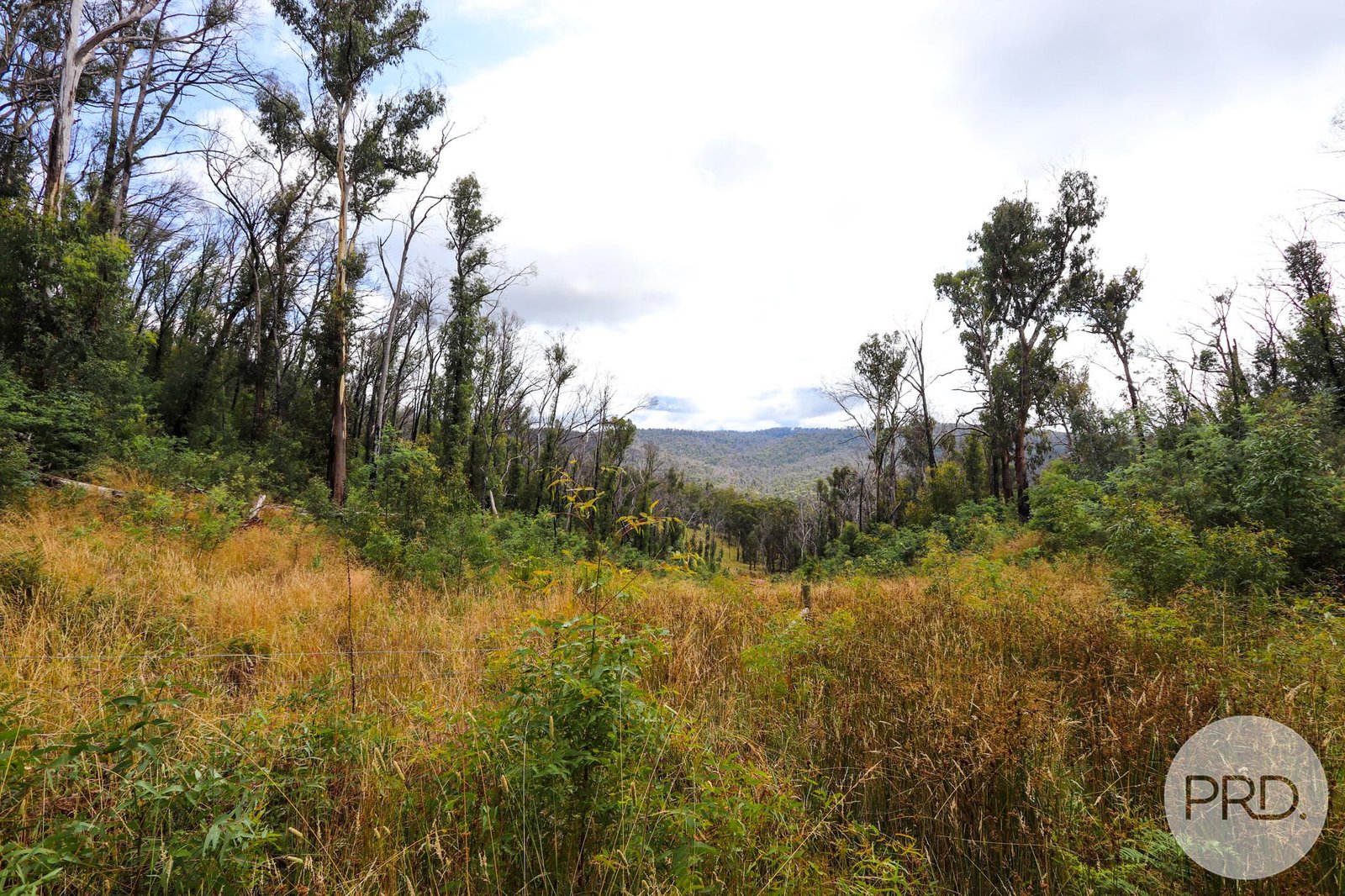 Lot 6 Moody's Hill Road TUMBARUMBA 16