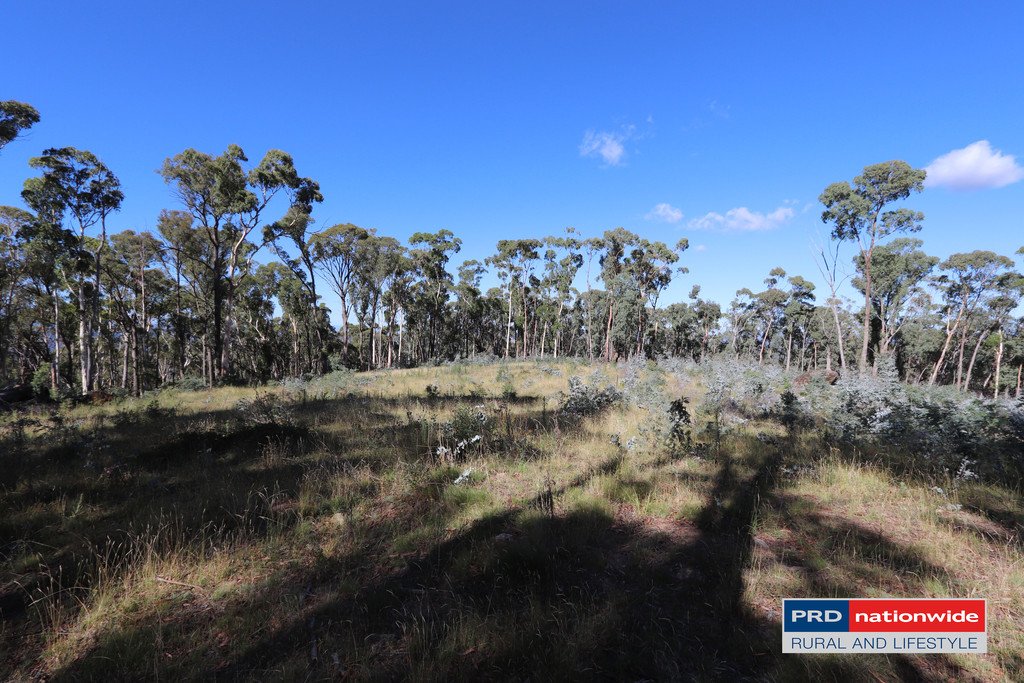 Lot 6 Moody's Hill Road TUMBARUMBA 2