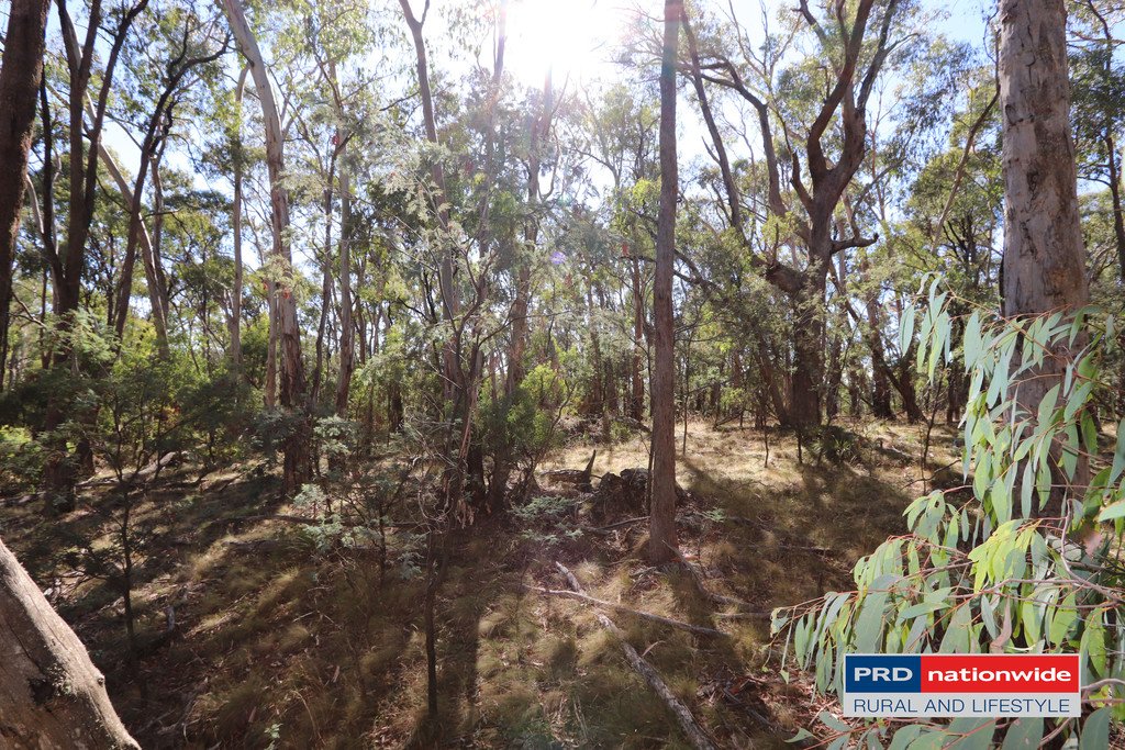 Lot 6 Moody's Hill Road TUMBARUMBA 3