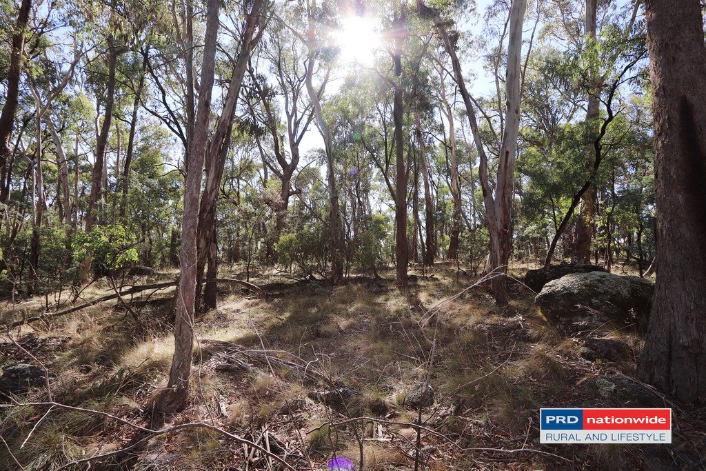 Lot 6 Moody's Hill Road TUMBARUMBA 4