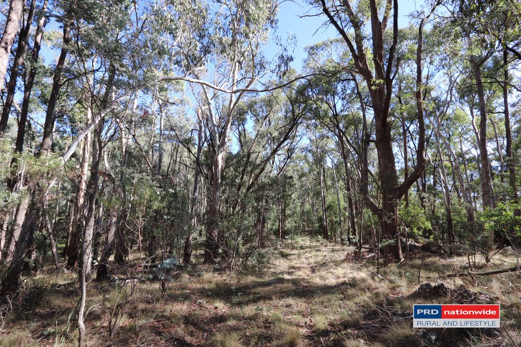 Lot 6 Moody's Hill Road TUMBARUMBA 5