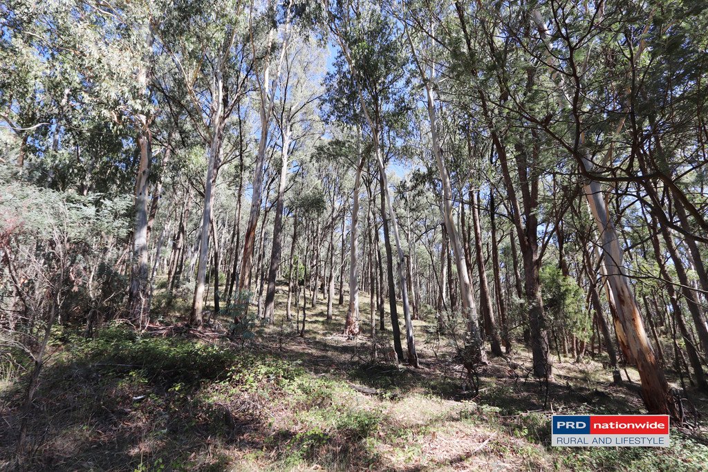 Lot 6 Moody's Hill Road TUMBARUMBA 6