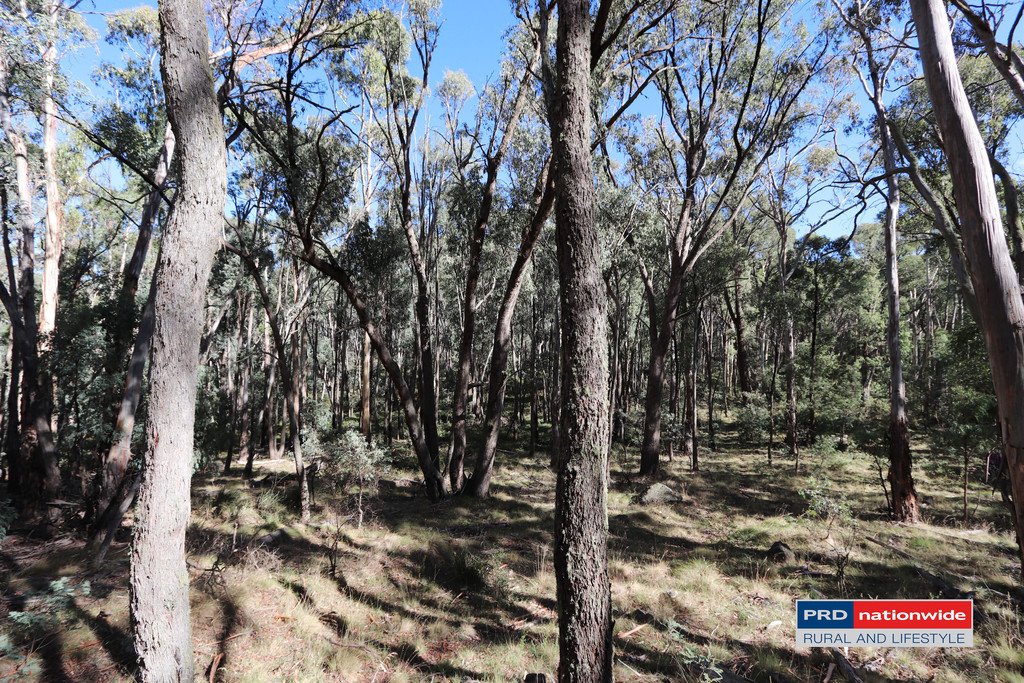 Lot 6 Moody's Hill Road TUMBARUMBA 7