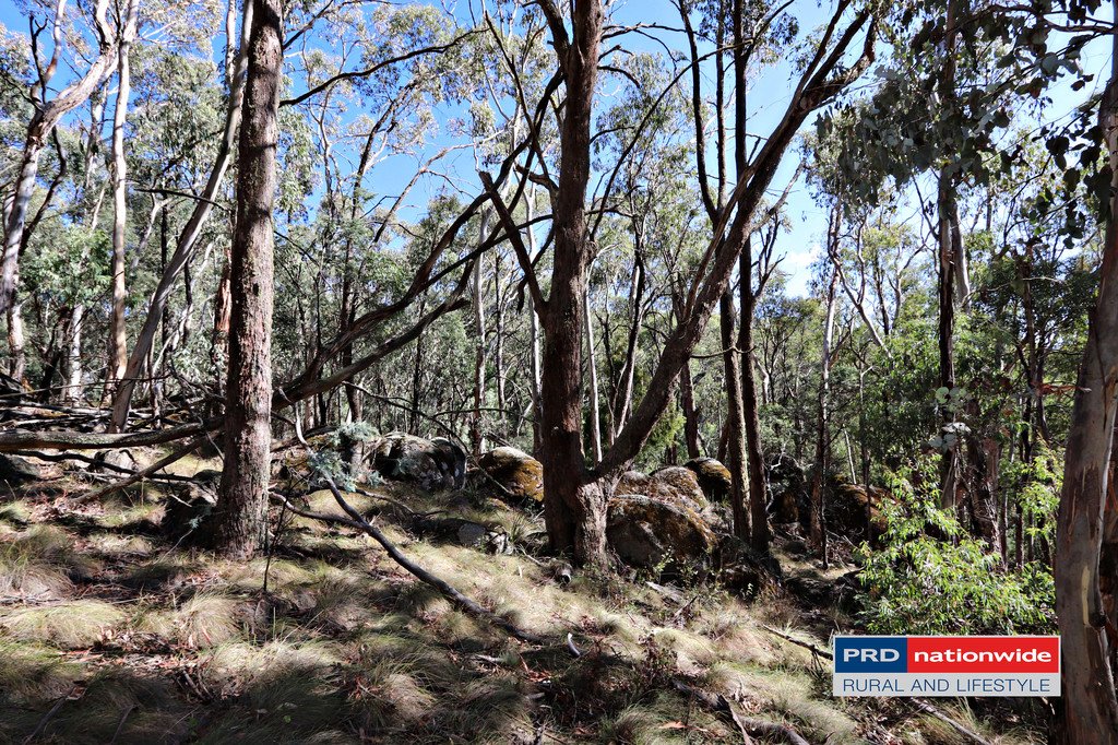Lot 6 Moody's Hill Road TUMBARUMBA 8
