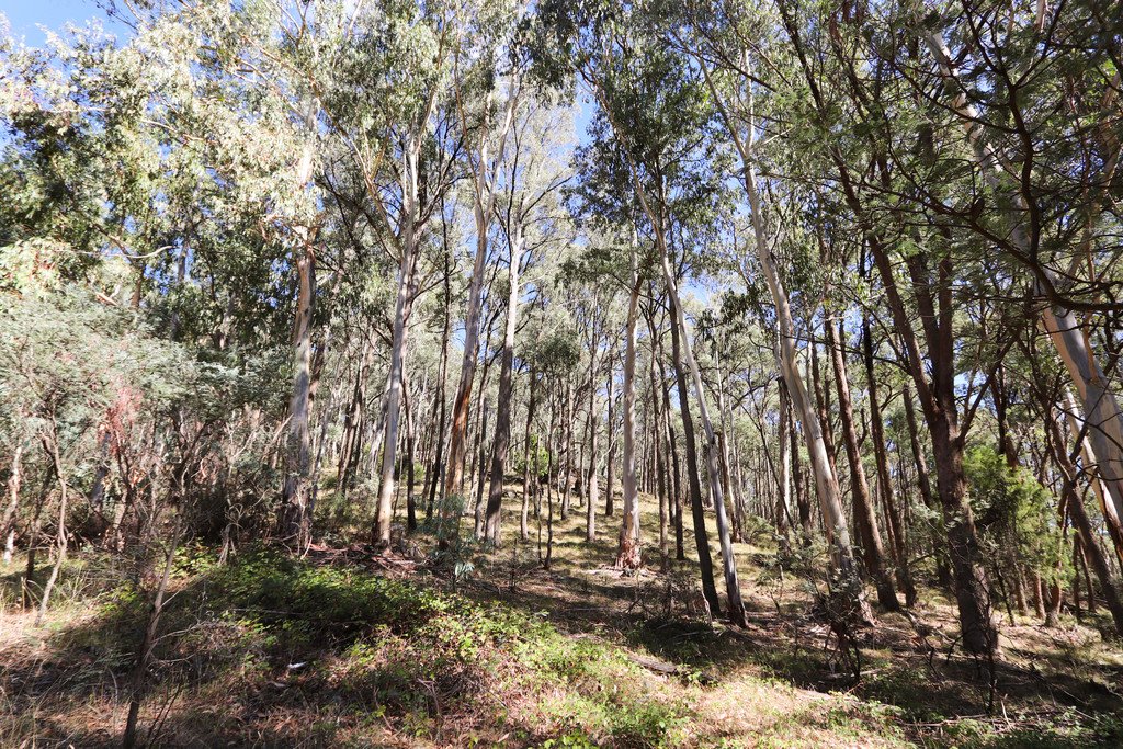 Lot 6 Moody's Hill Road TUMBARUMBA 9