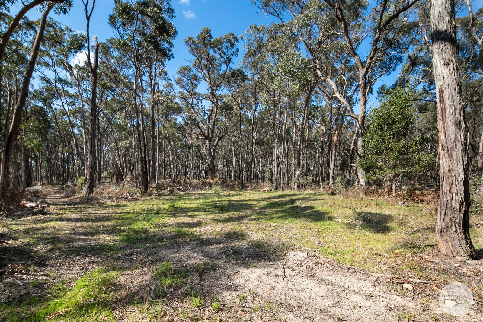 Lot 6 Victoria Road SCARSDALE 5