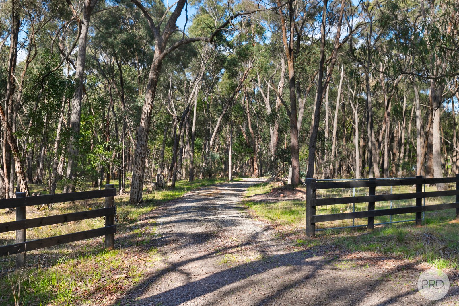 Lot 6 Victoria Road SCARSDALE 10