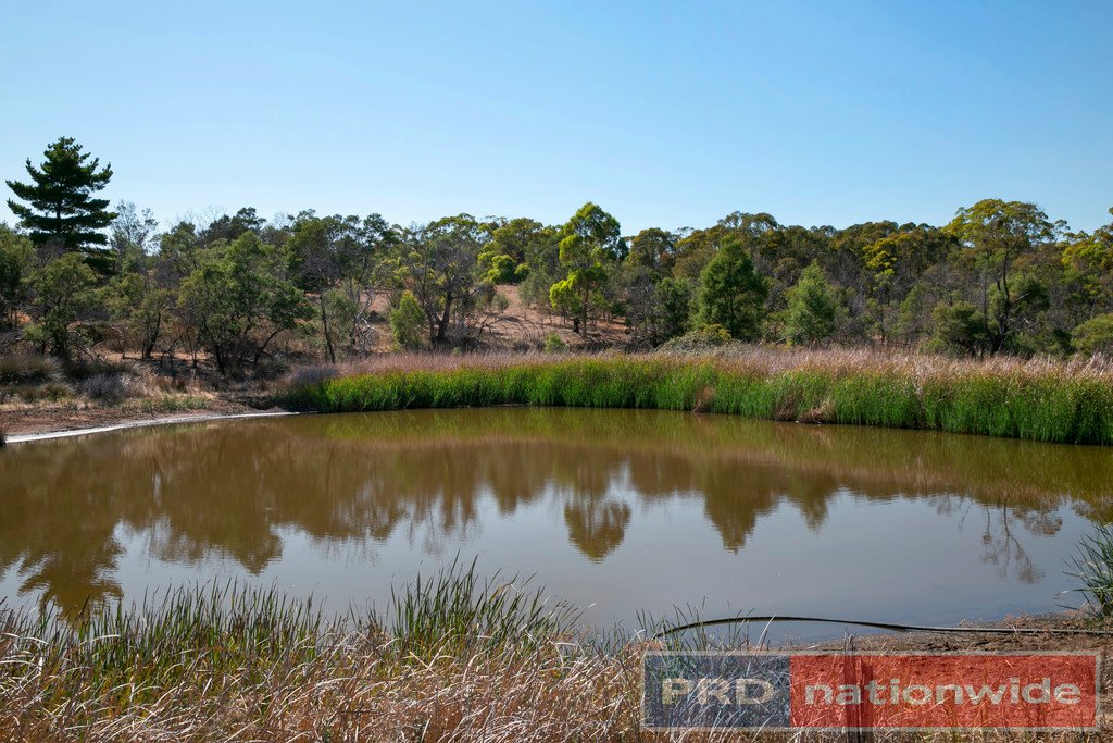 Lot 67 Salvo Bend Road BERRINGA 1