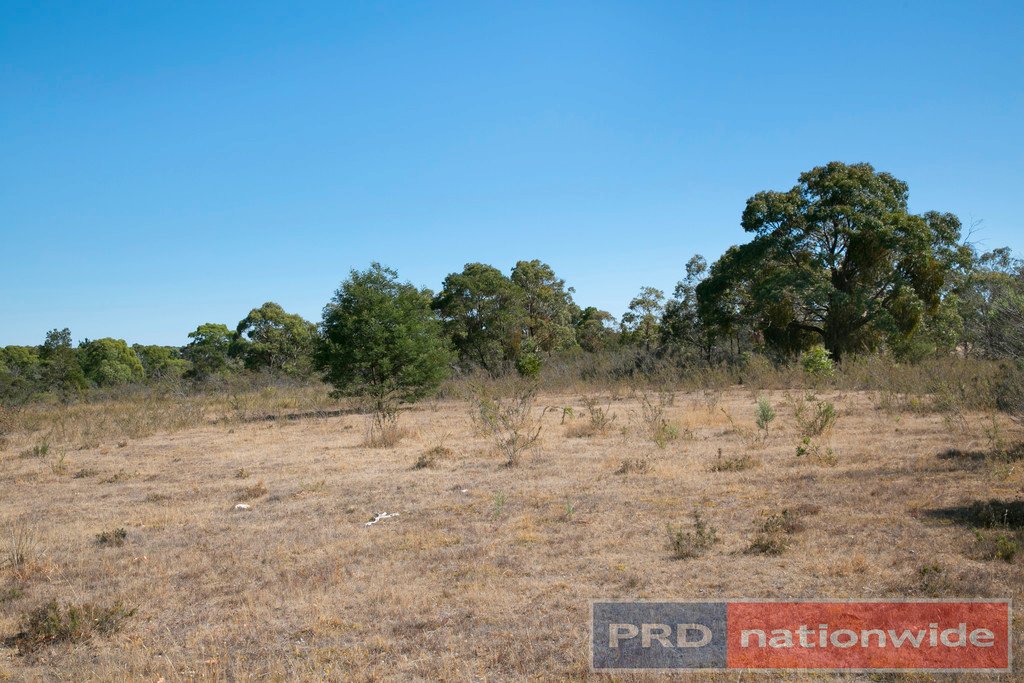 Lot 67 Salvo Bend Road BERRINGA 6