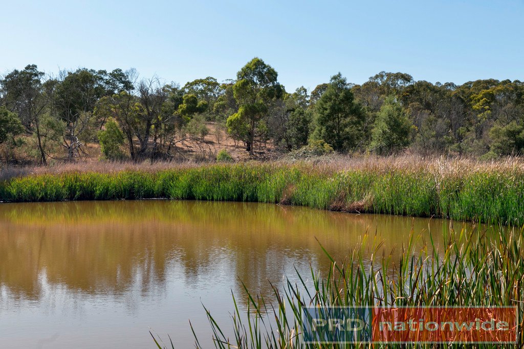 Lot 67 Salvo Bend Road BERRINGA 12