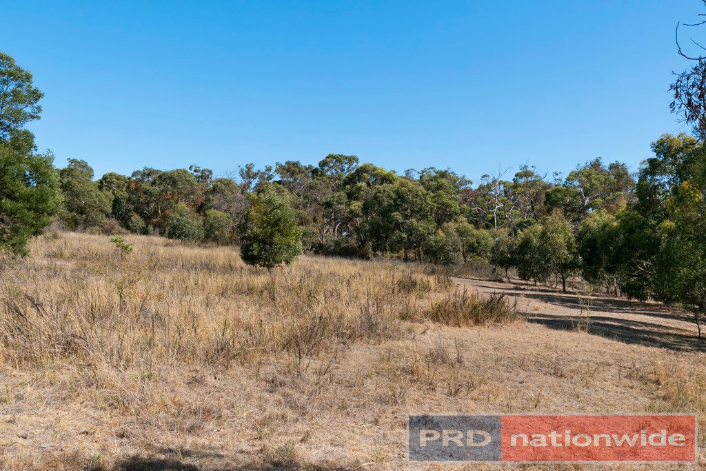 Lot 67 Salvo Bend Road BERRINGA 13