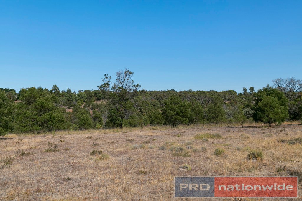 Lot 67 Salvo Bend Road BERRINGA 14