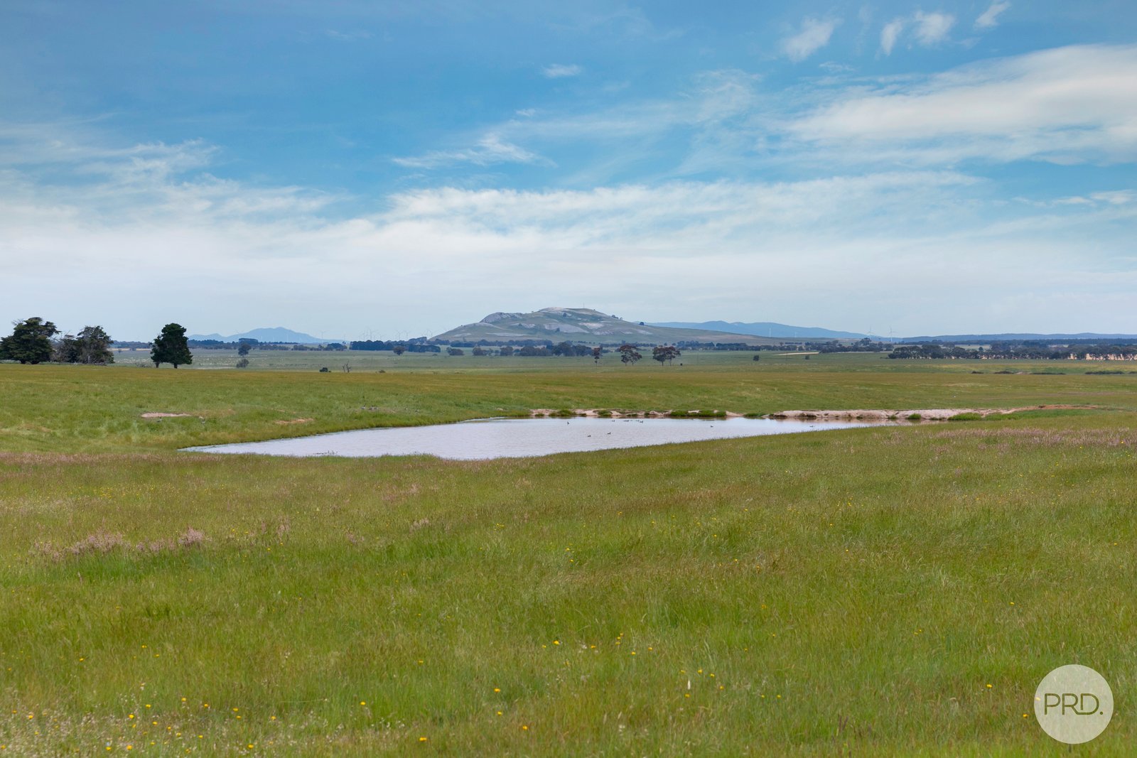 14 Pittong-Snake Valley Road PITTONG 5