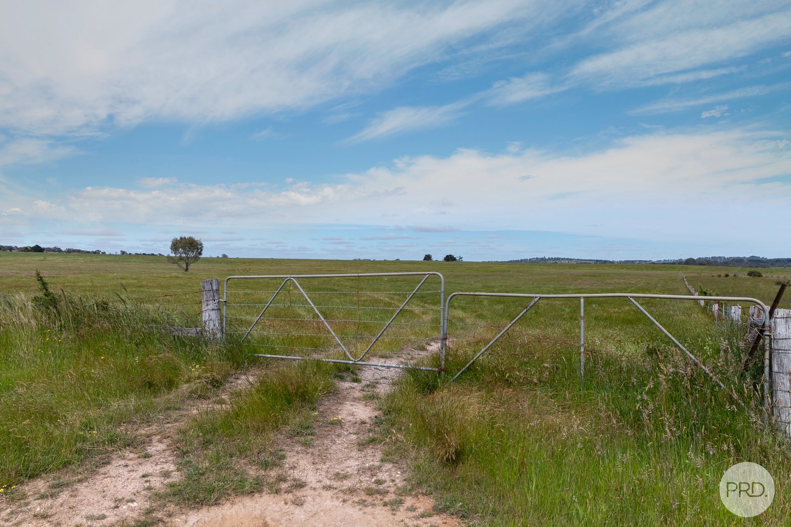 14 Pittong-Snake Valley Road PITTONG 7