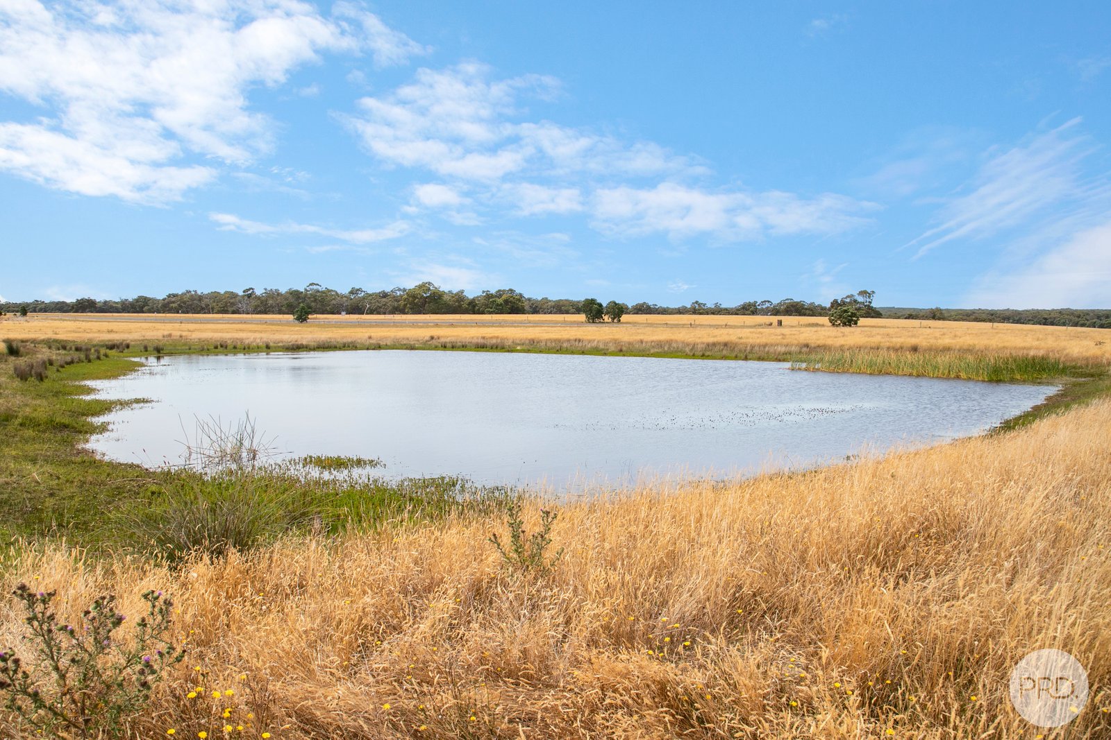  Smythesdale-Snake Valley Road SNAKE VALLEY 13