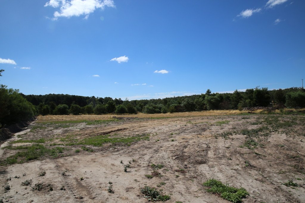 Lot 7 Burgoyne Street SCARSDALE 2