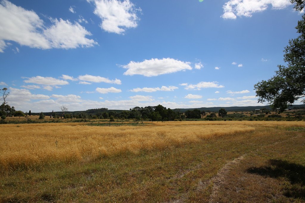 Lot 7 Burgoyne Street SCARSDALE 4