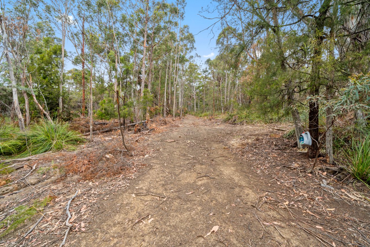 Lot 7 Jefferys Track LACHLAN 2