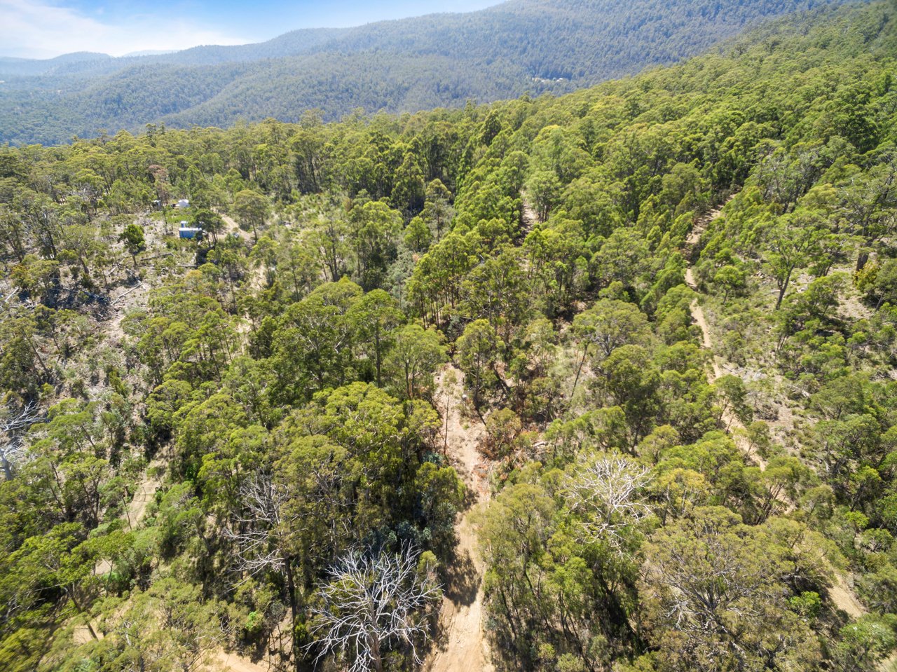 Lot 7 Jefferys Track LACHLAN 5