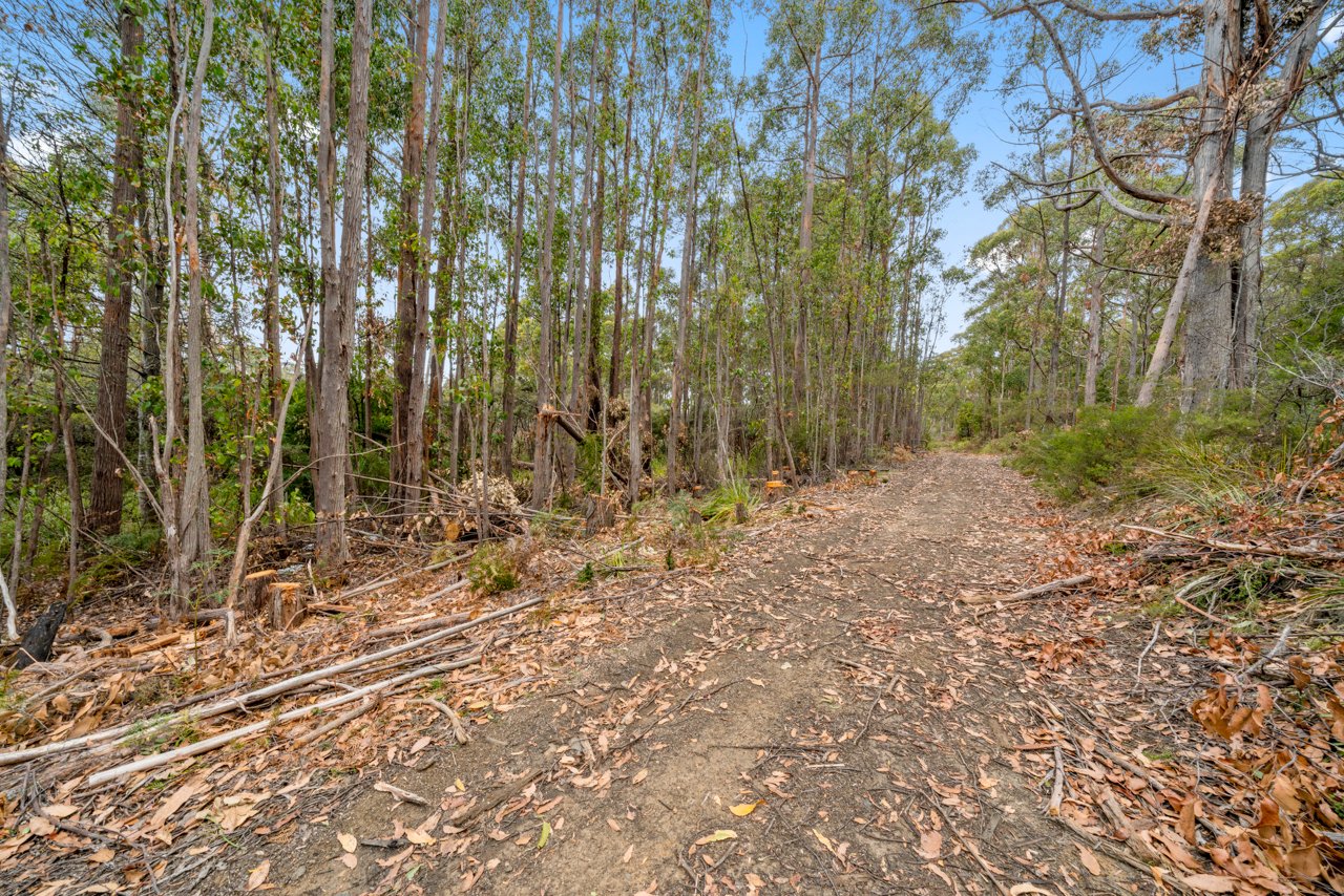 Lot 7 Jefferys Track LACHLAN 9