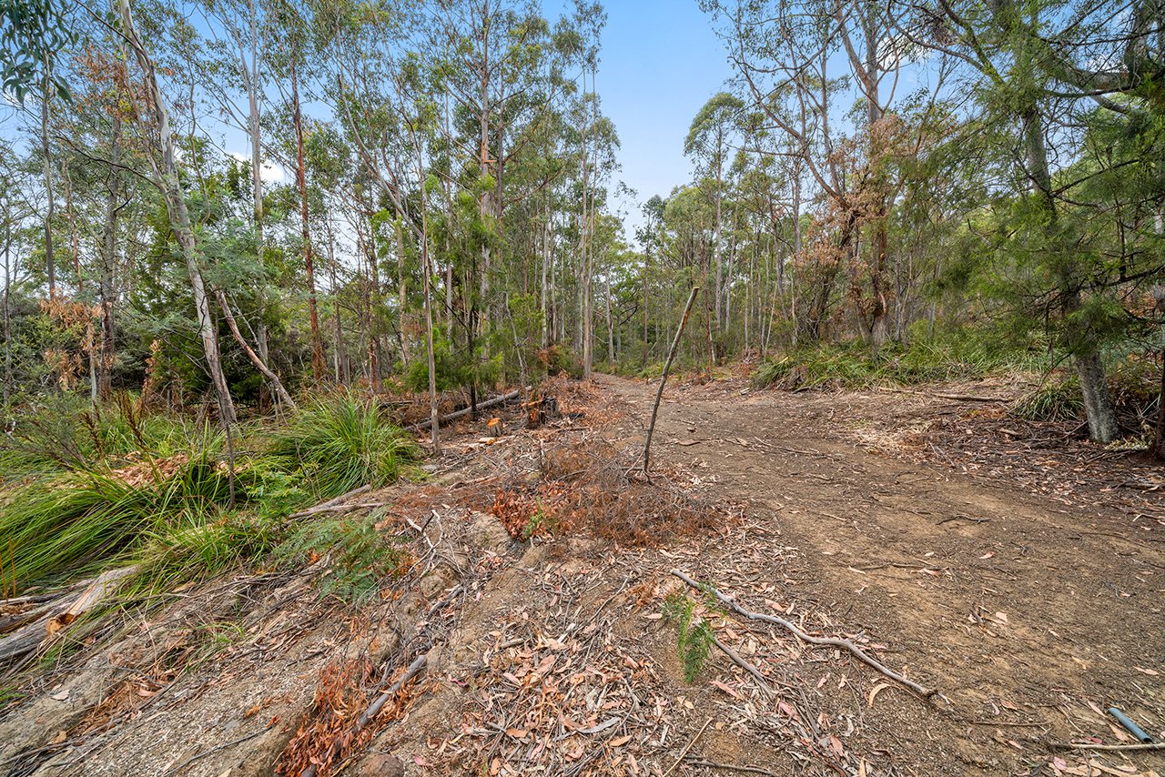 Lot 7 Jefferys Track LACHLAN 10