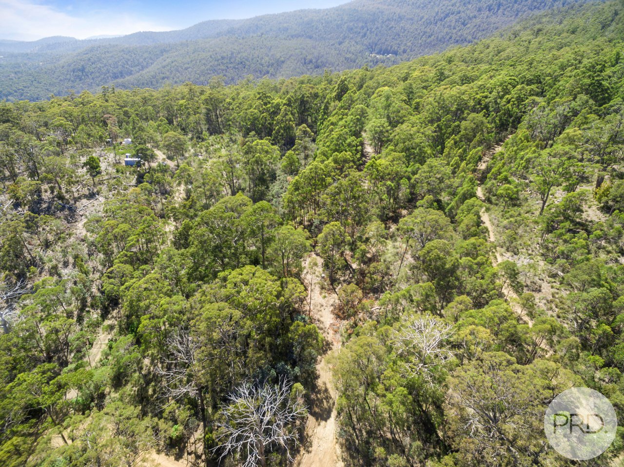Lot 7 Jefferys Track LACHLAN 12