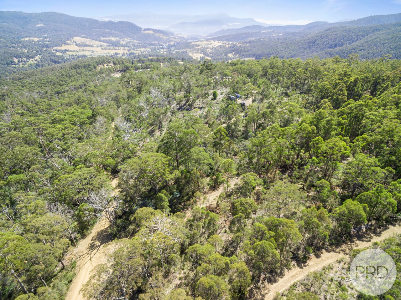 Lot 7 Jefferys Track LACHLAN 14