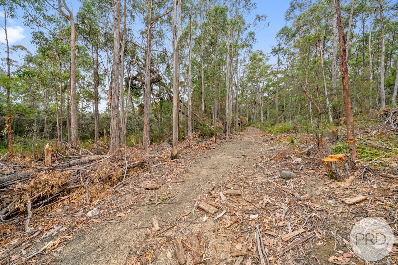 Lot 7 Jefferys Track LACHLAN 16