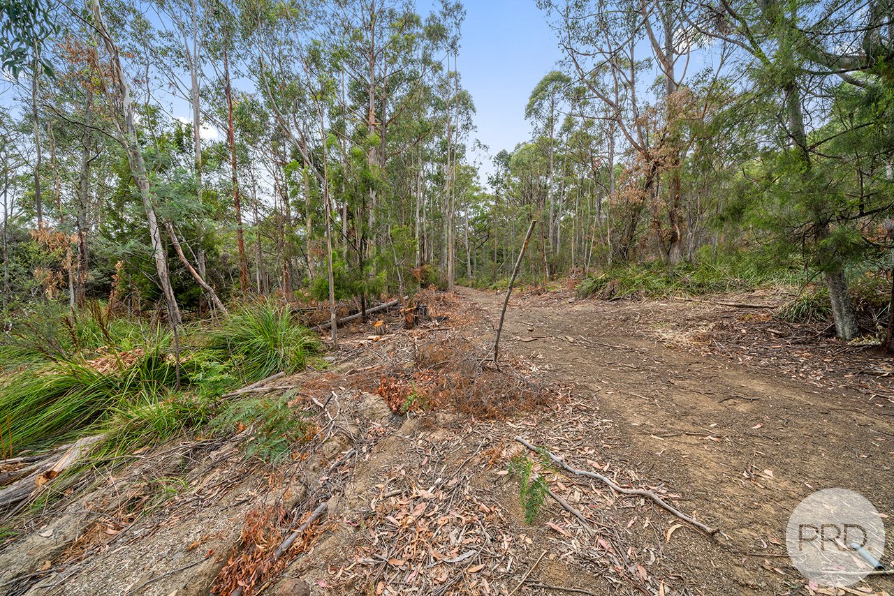 Lot 7 Jefferys Track LACHLAN 21