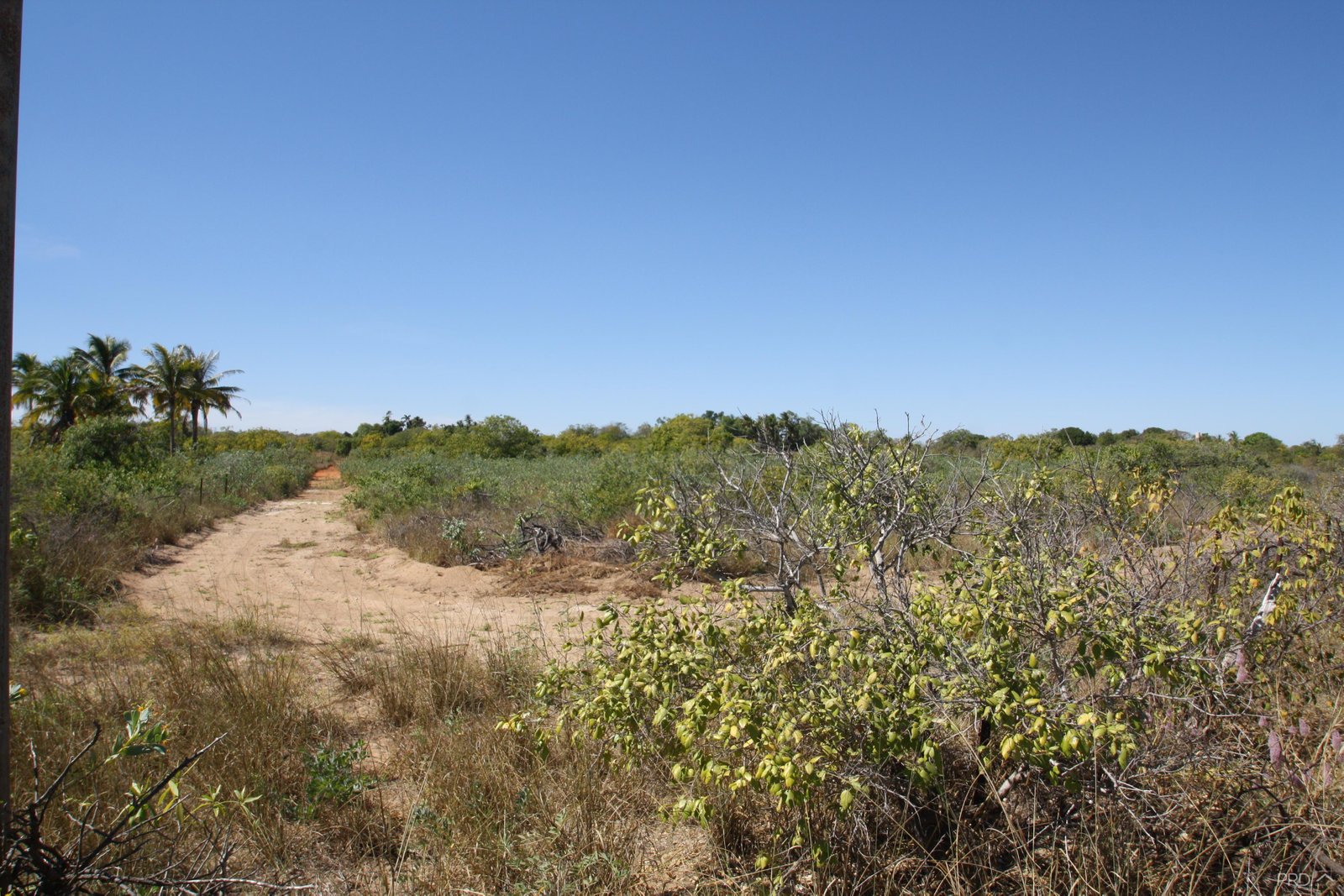 LOT 7 Stanley Place WATERBANK 15