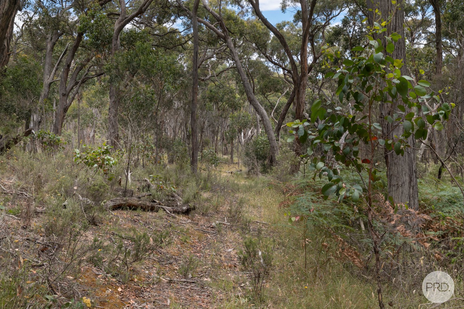  Stringybark Court LINTON 3