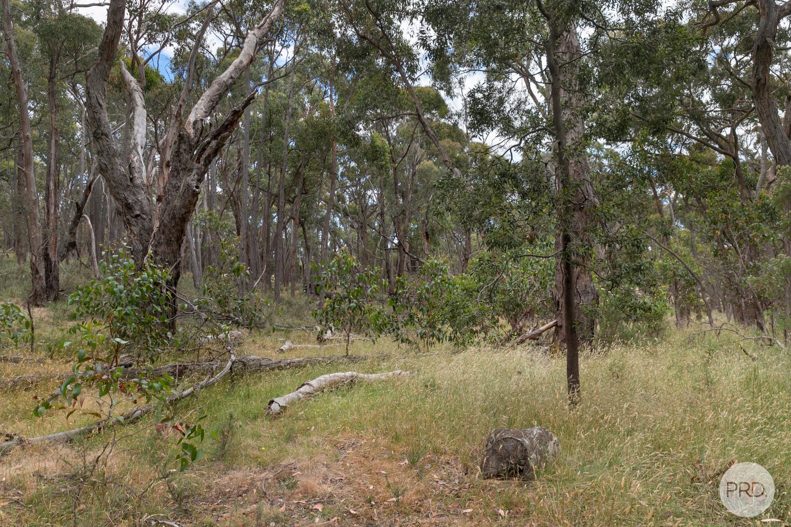  Stringybark Court LINTON 6