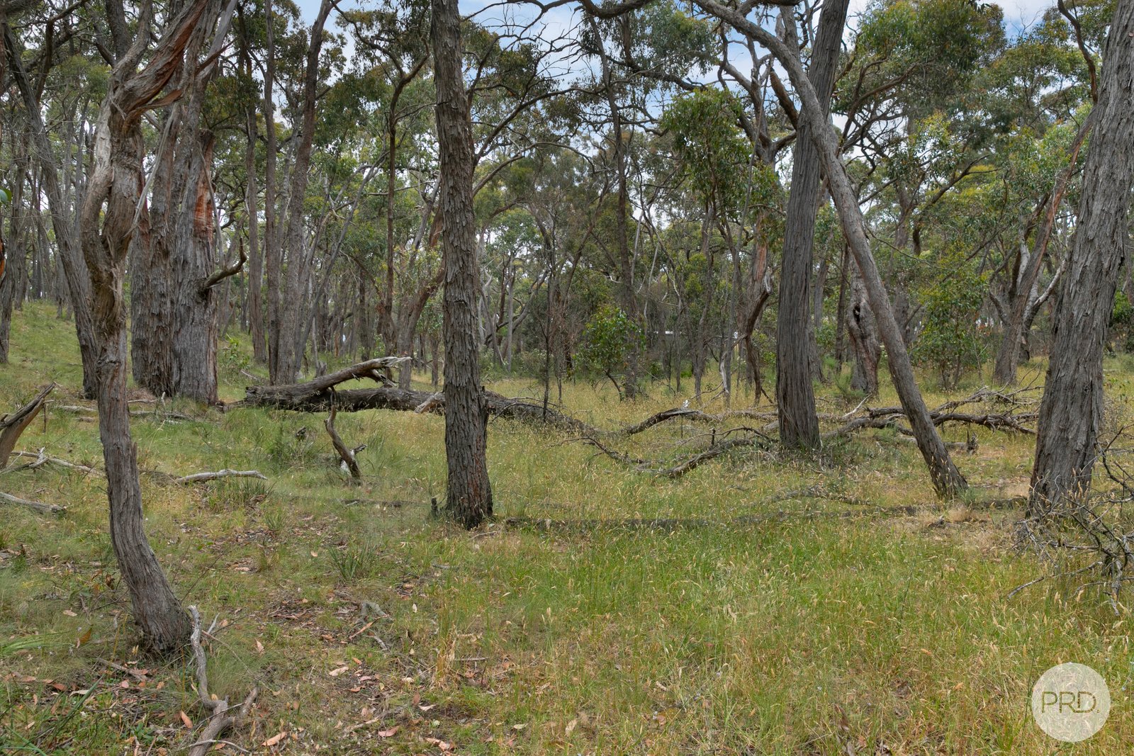  Stringybark Court LINTON 7