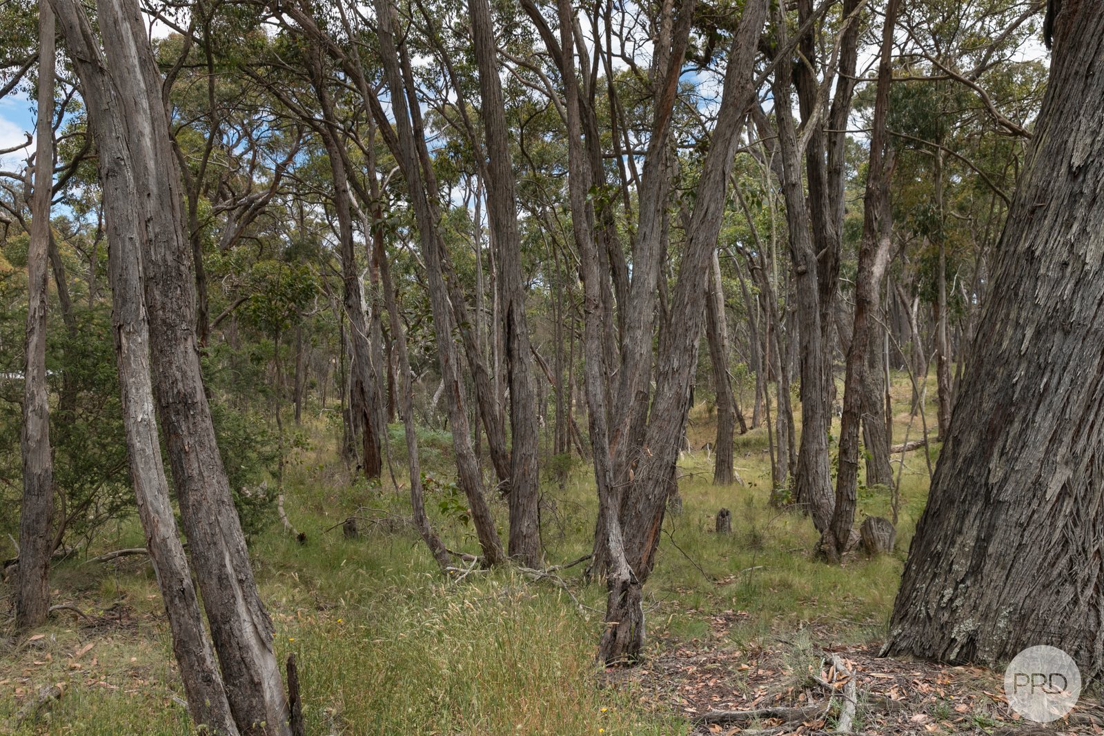  Stringybark Court LINTON 8