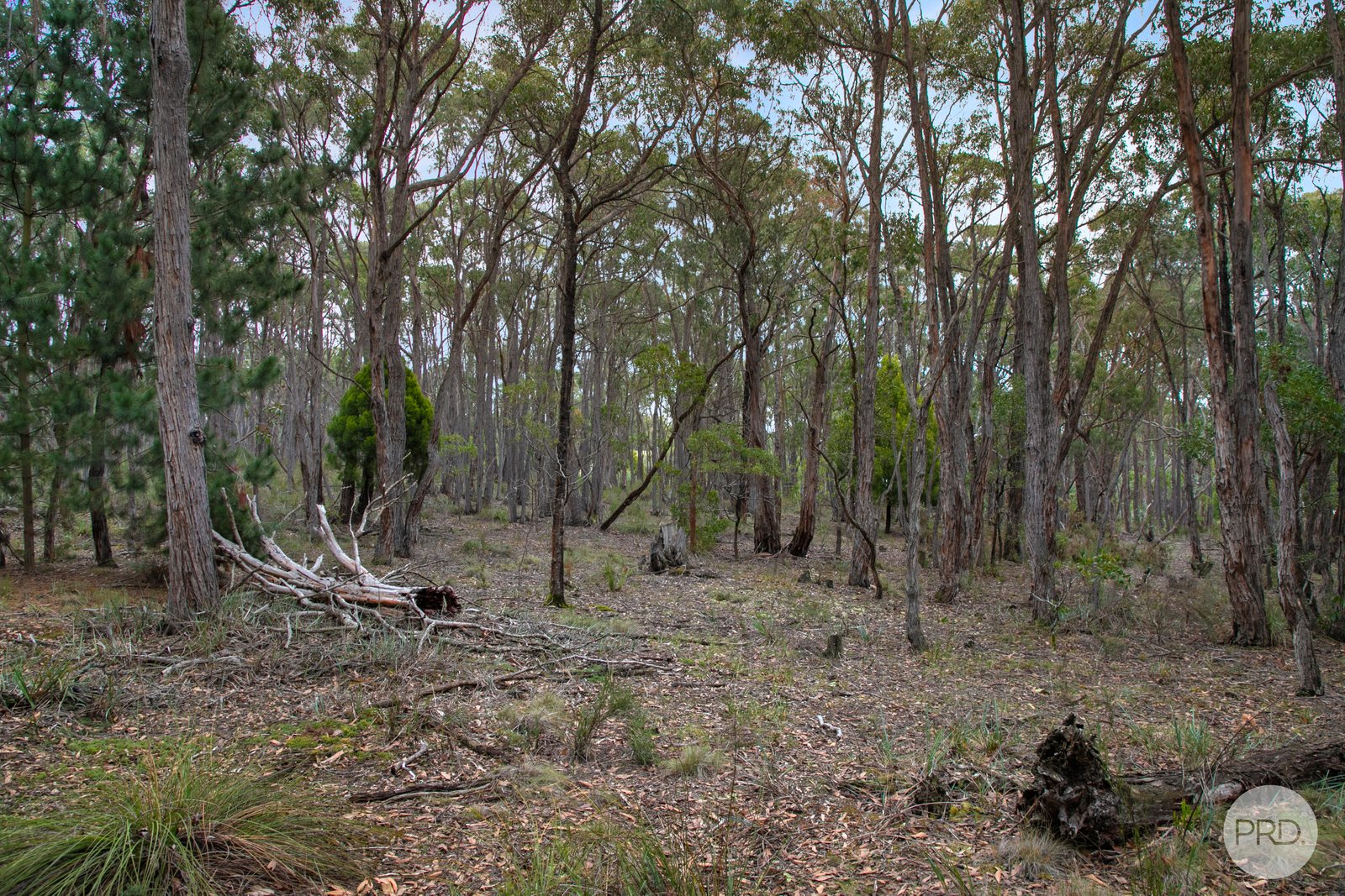 Lot 7 Vermont Road SMYTHESDALE 1